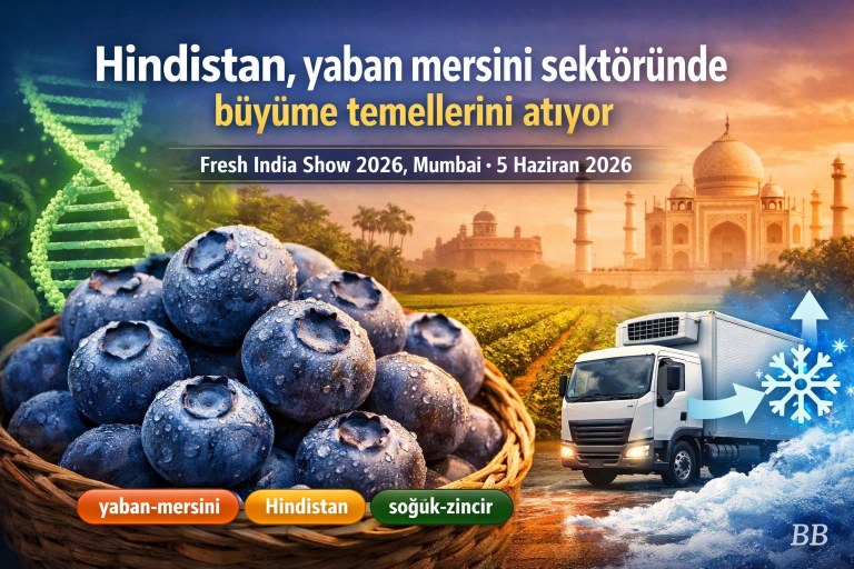 Hindistan, yaban mersini sektöründe büyüme temellerini atıyor görseli