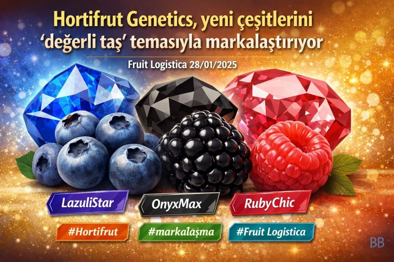 Hortifrut Genetics, yeni çeşitlerini 'değerli taş' temasıyla markalaştırıyor görseli