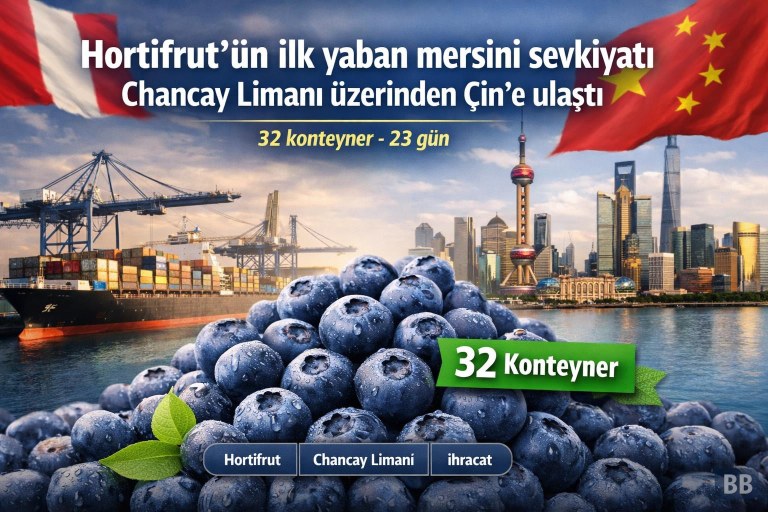 Hortifrut'ün ilk yaban mersini sevkiyatı Chancay Limanı üzerinden Çin'e ulaştı görseli