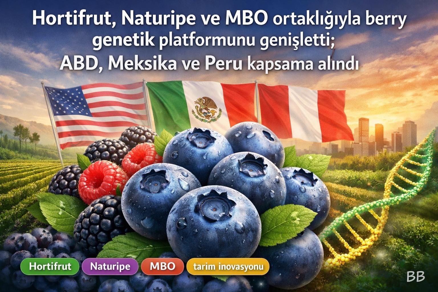 Hortifrut, Naturipe ve MBO ortaklığıyla berry genetik platformunu genişletti; ABD, Meksika ve Peru kapsama alındı gorseli