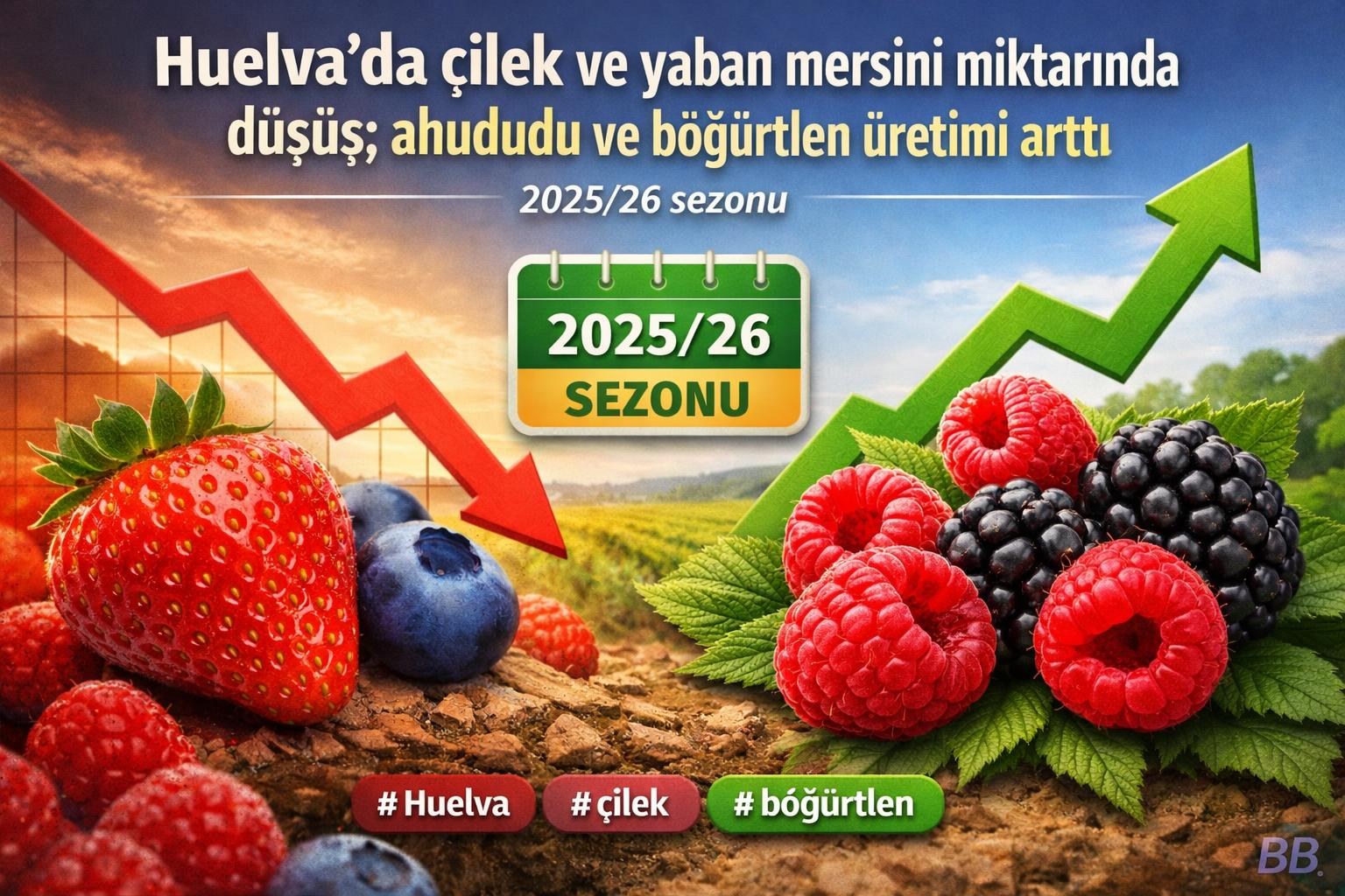 Huelva'da çilek ve yaban mersini miktarında düşüş; ahududu ve böğürtlen üretimi arttı gorseli