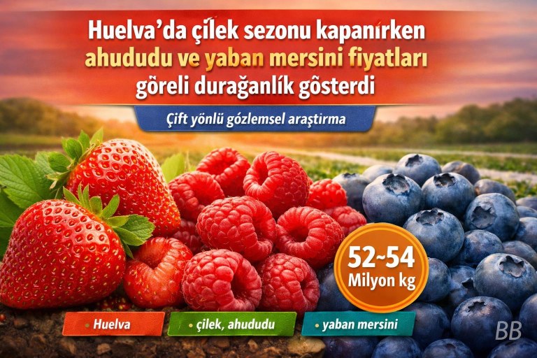 Huelva'da çilek sezonu kapanırken ahududu ve yaban mersini fiyatları göreli durağanlık gösterdi görseli