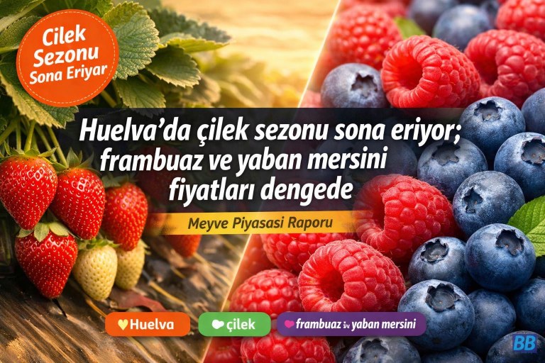 Huelva'da çilek sezonu sona eriyor; frambuaz ve yaban mersini fiyatları dengede görseli