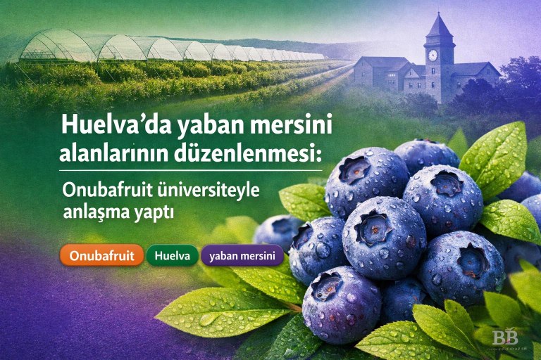 Huelva'da yaban mersini alanlarının düzenlenmesi: Onubafruit üniversiteyle anlaşma yaptı görseli