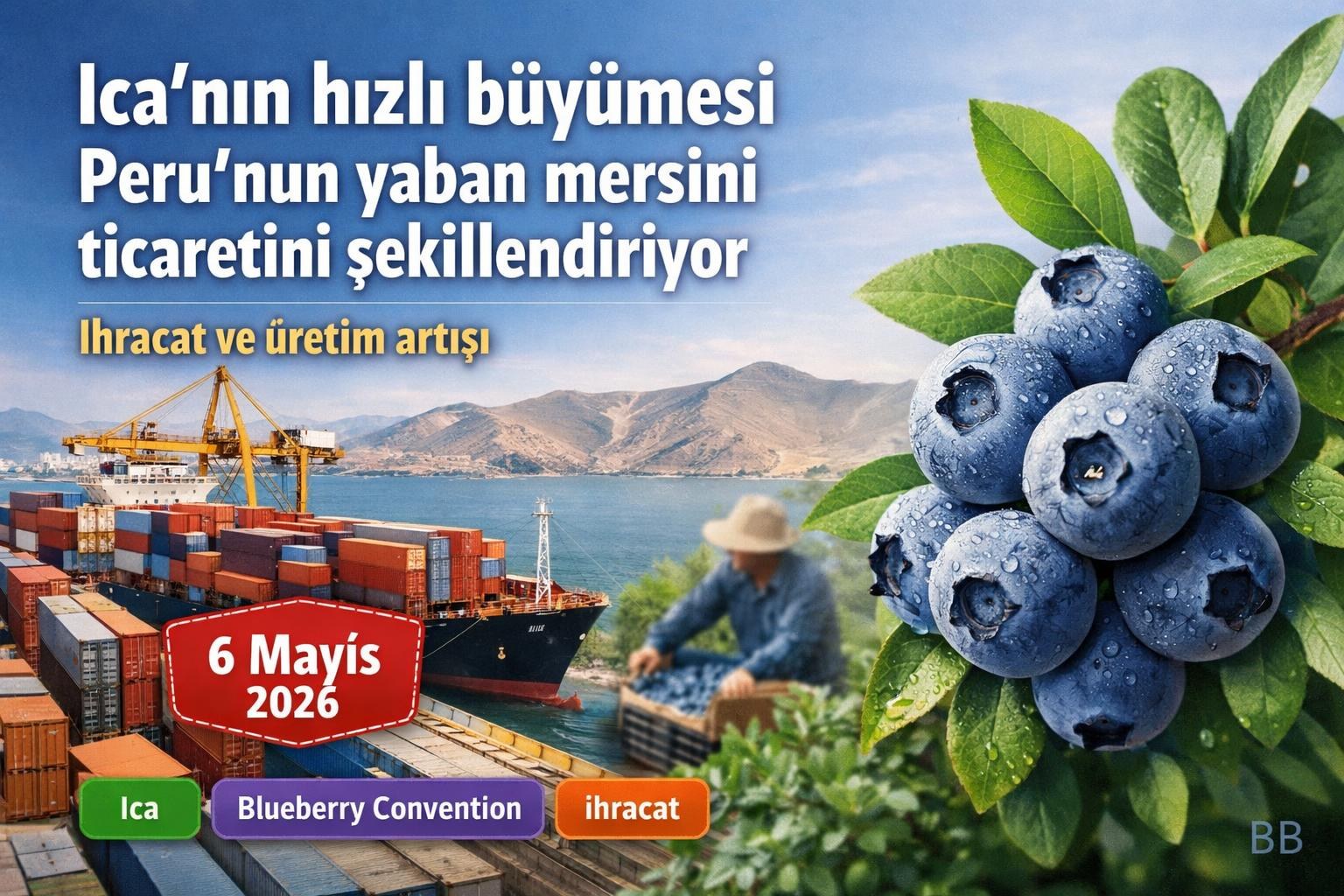 Ica'nın hızlı büyümesi Peru'nun yaban mersini ticaretini şekillendiriyor görseli