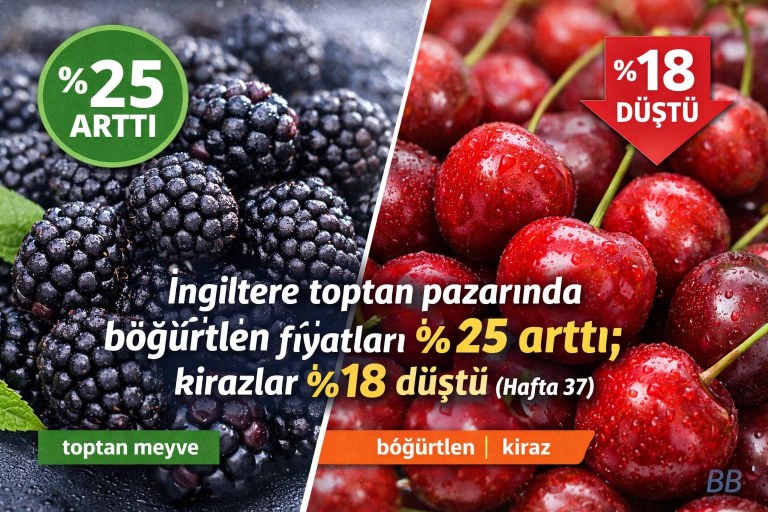 İngiltere toptan pazarında böğürtlen fiyatları %25 arttı; kirazlar %18 düştü (Hafta 37) görseli