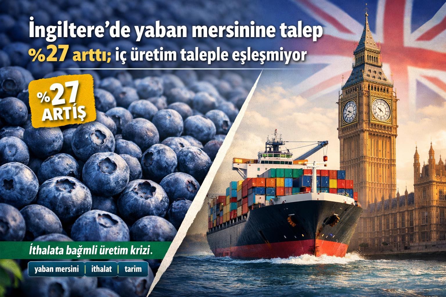 İngiltere'de yaban mersinine talep %27 arttı; iç üretim taleple eşleşmiyor görseli