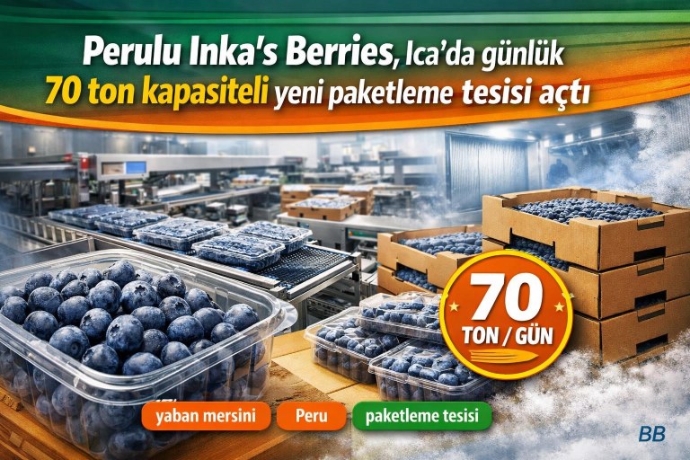 Perulu Inka's Berries, Ica'da günlük 70 ton kapasiteli yeni paketleme tesisi açtı görseli