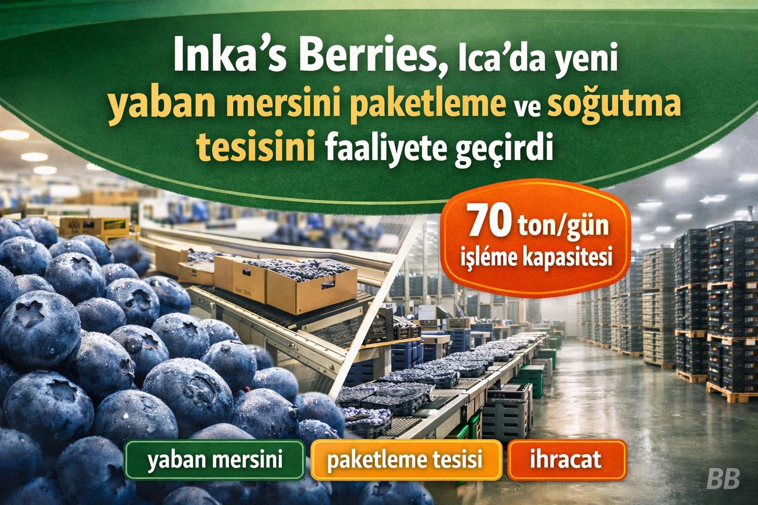 Inka's Berries, Ica'da yeni yaban mersini paketleme ve soğutma tesisini faaliyete geçirdi gorseli