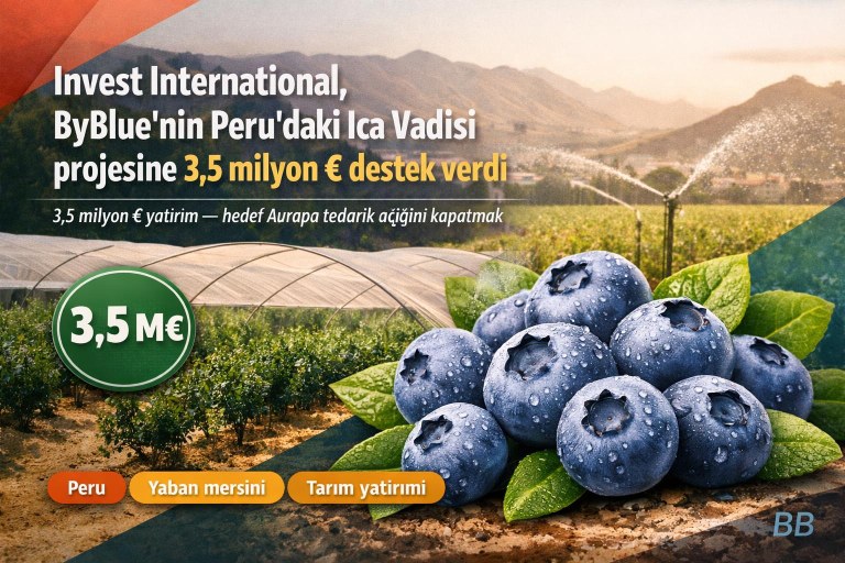 Invest International, ByBlue'nin Peru'daki Ica Vadisi projesine 3,5 milyon € destek verdi görseli