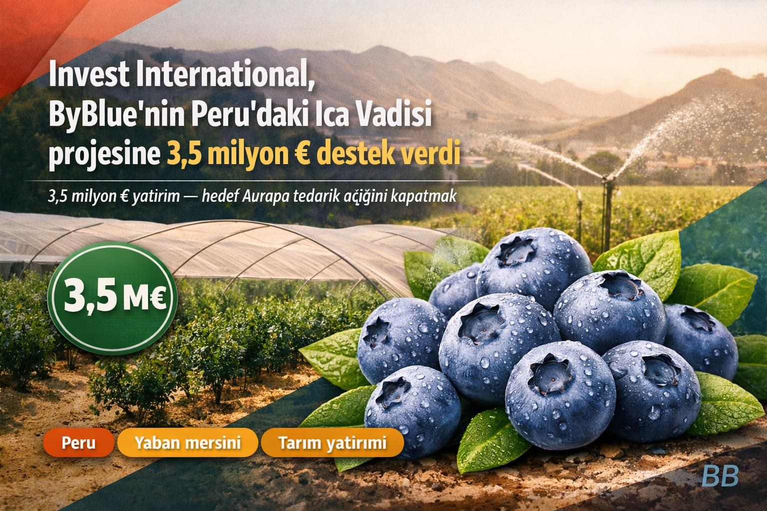 Invest International, ByBlue'nin Peru'daki Ica Vadisi projesine 3,5 milyon € destek verdi görseli
