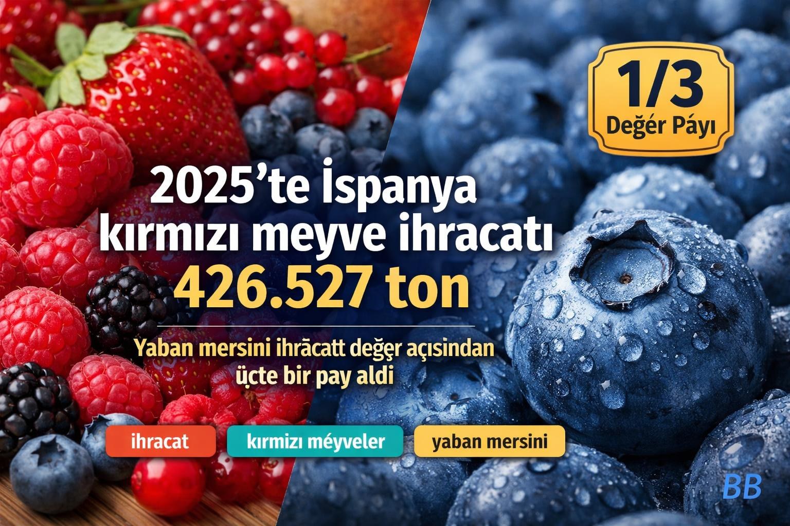 2025'te İspanya kırmızı meyve ihracatı 426.527 ton; yaban mersini ihracatı değer açısından üçte bir pay aldı gorseli