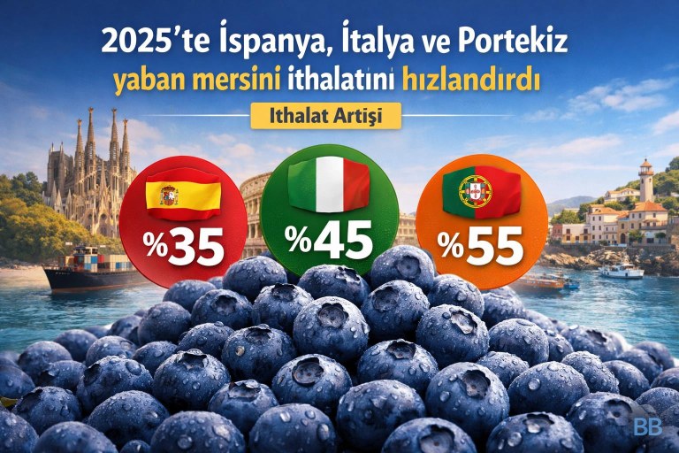 2025'te İspanya, İtalya ve Portekiz yaban mersini ithalatını hızlandırdı görseli