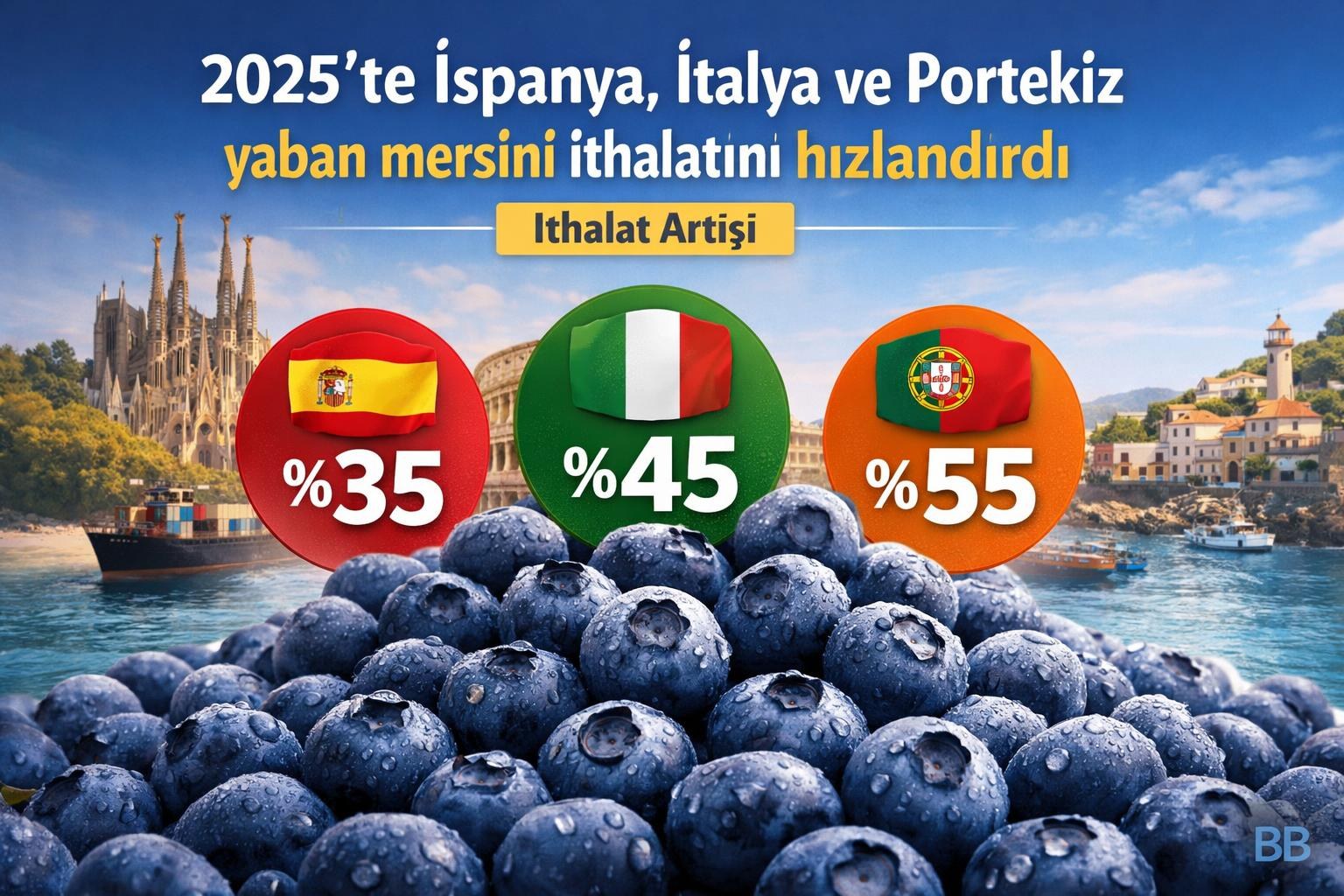2025'te İspanya, İtalya ve Portekiz yaban mersini ithalatını hızlandırdı görseli