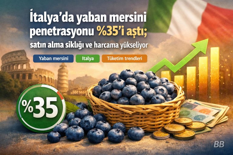 İtalya’da yaban mersini penetrasyonu %35’i aştı; satın alma sıklığı ve harcama yükseliyor görseli