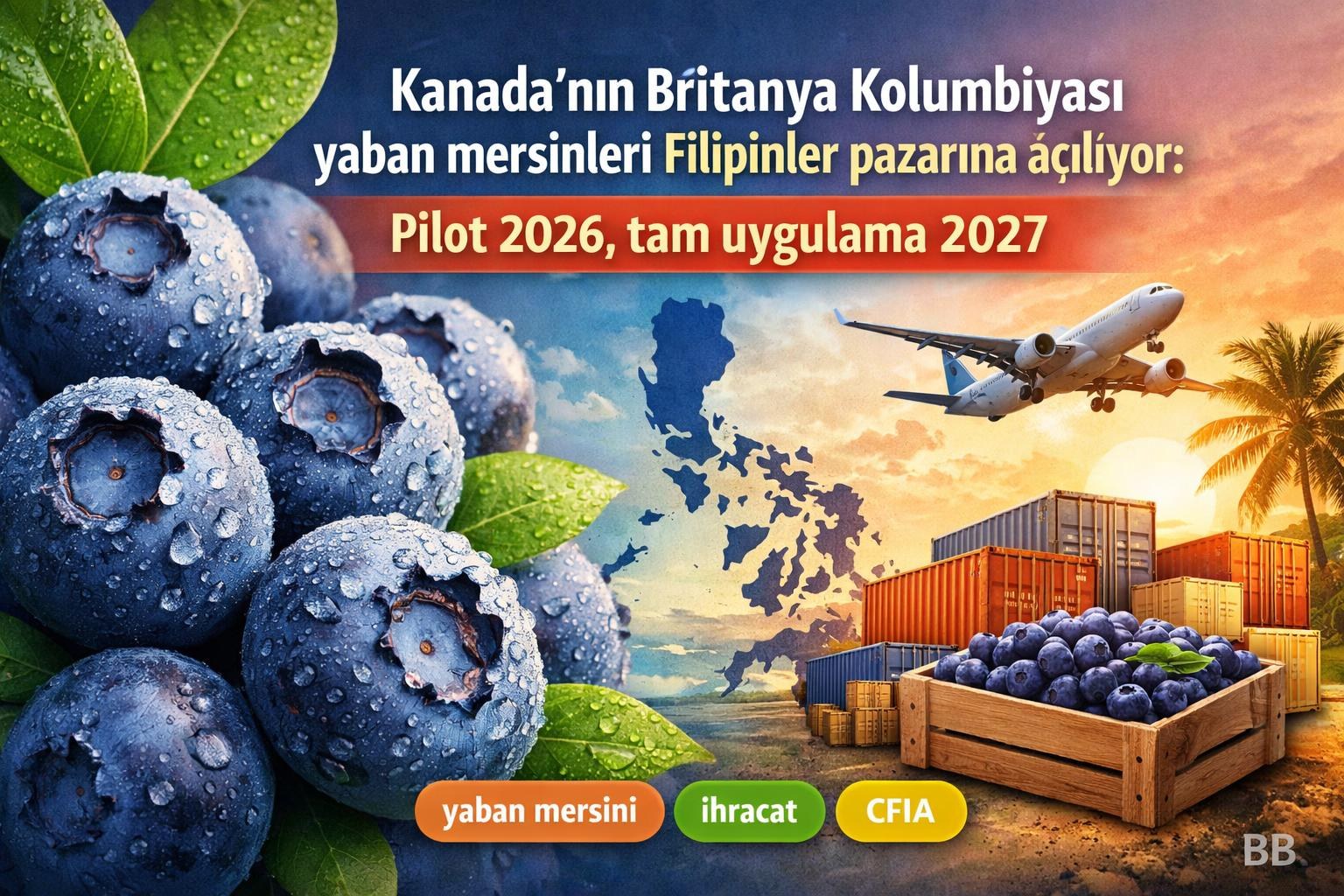 Kanada'nın Britanya Kolumbiyası yaban mersinleri Filipinler pazarına açılıyor: Pilot 2026, tam uygulama 2027 görseli