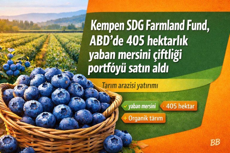 Kempen SDG Farmland Fund, ABD’de 405 hektarlık yaban mersini çiftliği portföyü satın aldı görseli