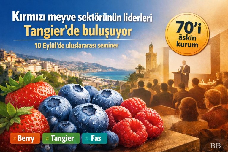 Kırmızı meyve sektörünün liderleri Tangier'de buluşuyor: 10 Eylül'de uluslararası seminer görseli