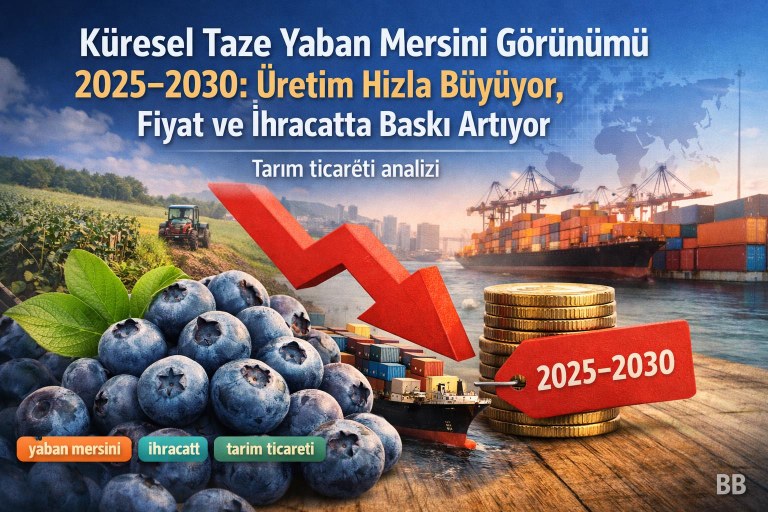 Küresel Taze Yaban Mersini Görünümü 2025–2030: Üretim Hızla Büyüyor, Fiyat ve İhracatta Baskı Artıyor görseli