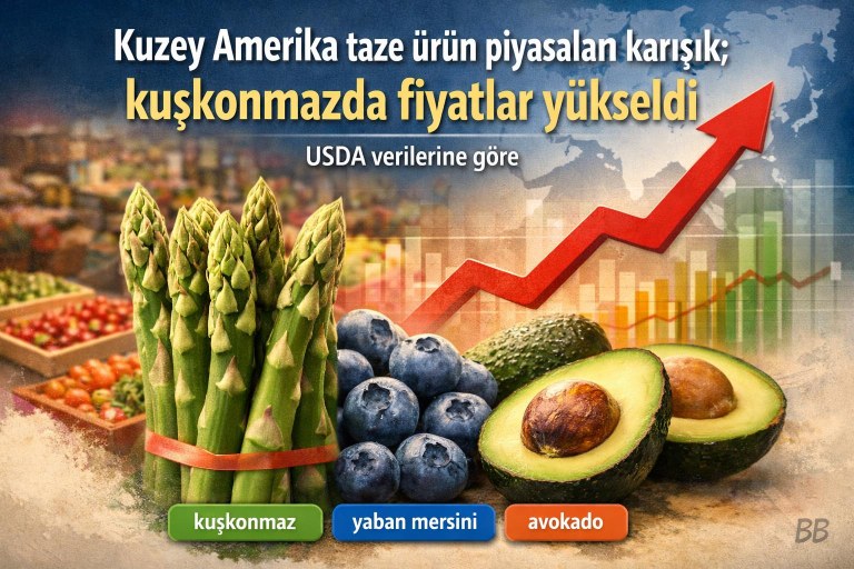 Kuzey Amerika taze ürün piyasaları karışık; kuşkonmazda fiyatlar yükseldi görseli