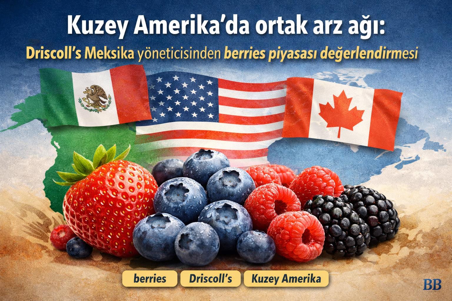 Kuzey Amerika’da ortak arz ağı: Driscoll’s Meksika yöneticisinden berries piyasası değerlendirmesi gorseli