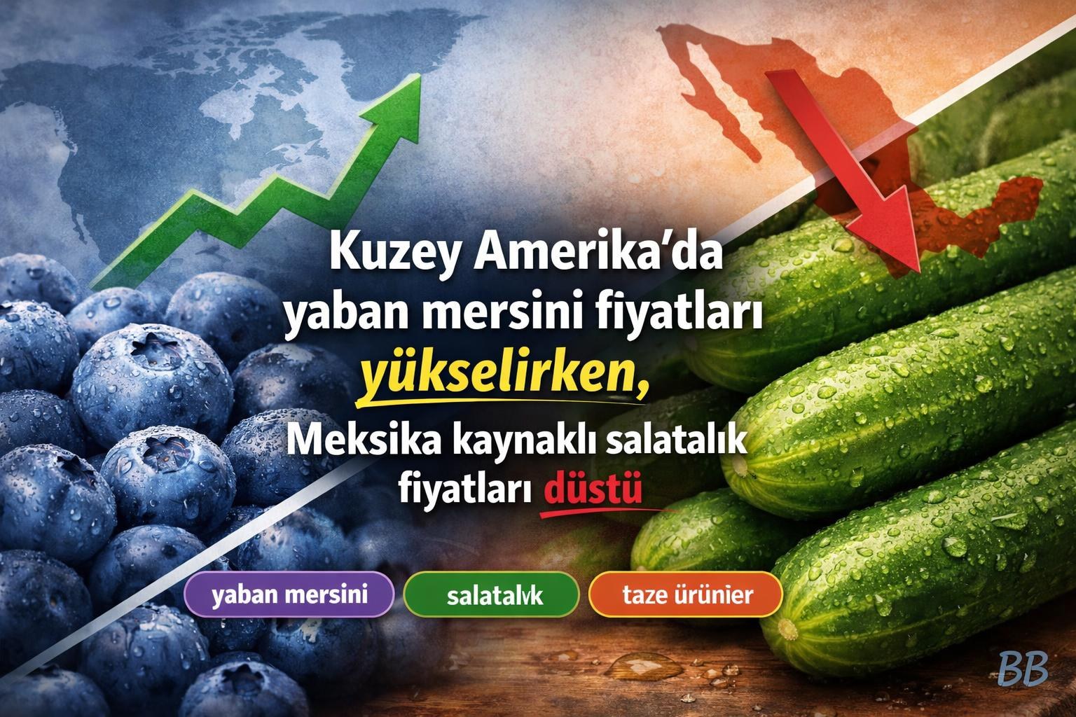 Kuzey Amerika'da yaban mersini fiyatları yükselirken, Meksika kaynaklı salatalık fiyatları düştü görseli