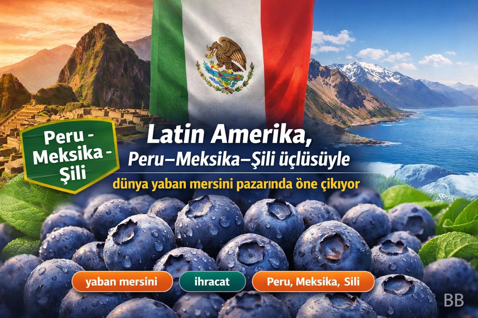 Latin Amerika, Peru–Meksika–Şili üçlüsüyle dünya yaban mersini pazarında öne çıkıyor gorseli