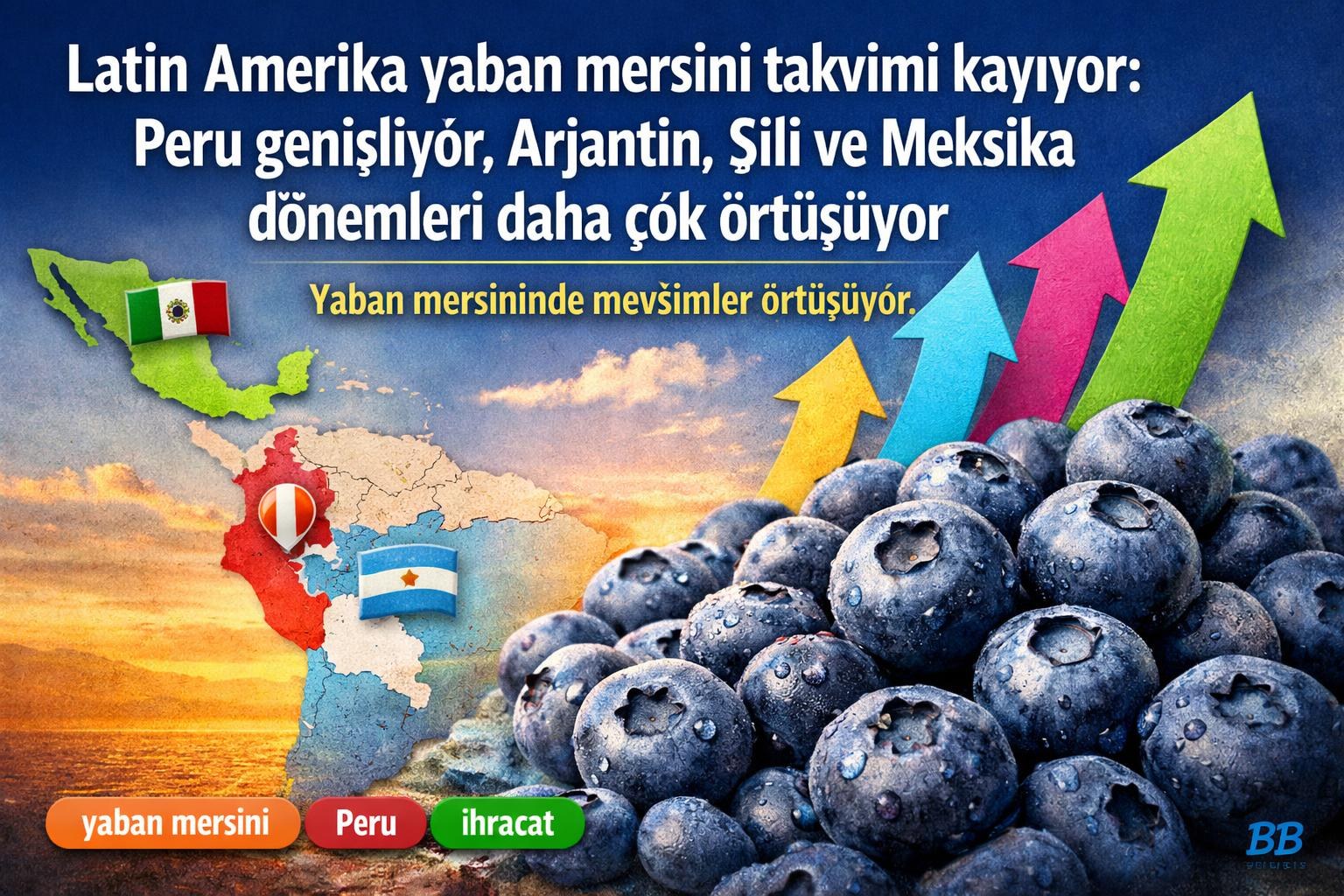 Latin Amerika yaban mersini takvimi kayıyor: Peru genişliyor, Arjantin, Şili ve Meksika dönemleri daha çok örtüşüyor gorseli