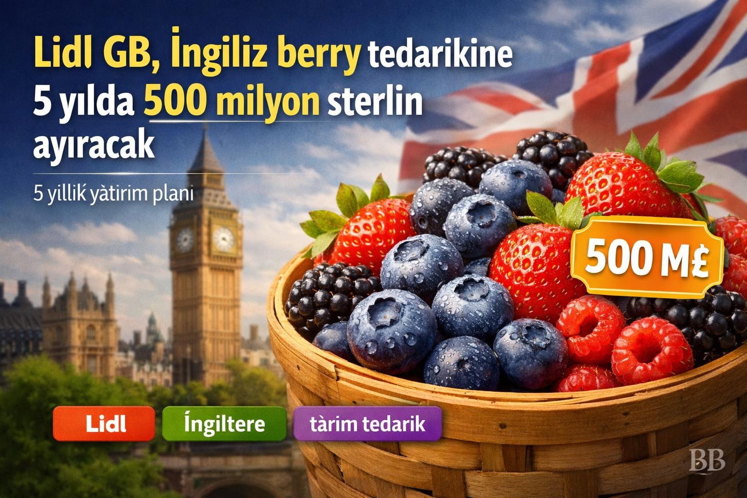 Lidl GB, İngiliz berry tedarikine 5 yılda 500 milyon sterlin ayıracak görseli