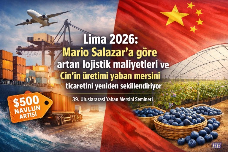 Lima 2026: Mario Salazar’a göre artan lojistik maliyetleri ve Çin'in üretimi yaban mersini ticaretini yeniden şekillendiriyor görseli