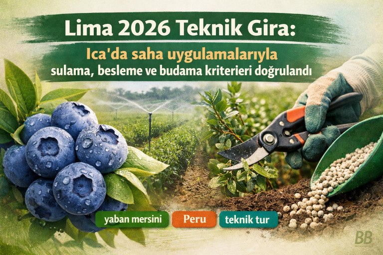 Lima 2026 Teknik Gira: Ica'da saha uygulamalarıyla sulama, besleme ve budama kriterleri doğrulandı görseli