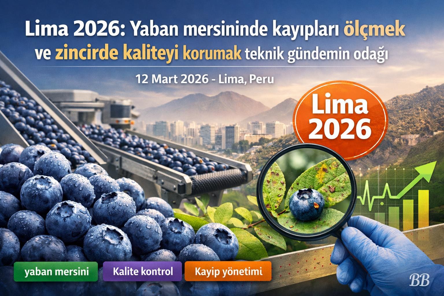 Lima 2026: Yaban mersininde kayıpları ölçmek ve zincirde kaliteyi korumak teknik gündemin odağı görseli