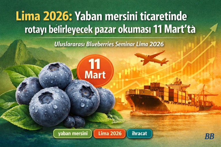 Lima 2026: Yaban mersini ticaretinde rotayı belirleyecek pazar okuması 11 Mart'ta görseli