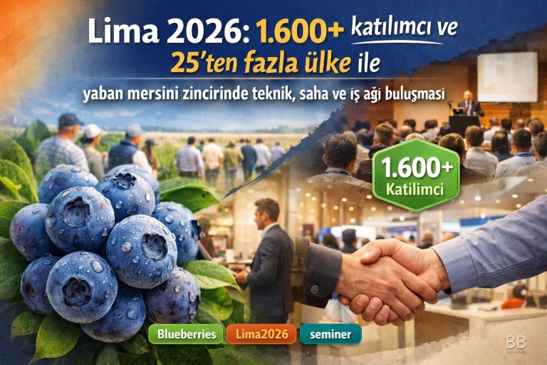 Lima 2026: 1.600+ katılımcı ve 25'ten fazla ülke ile yaban mersini zincirinde teknik, saha ve iş ağı buluşması görseli