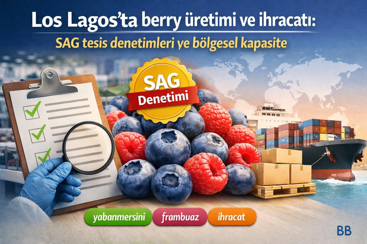 Los Lagos'ta berry üretimi ve ihracatı: SAG tesis denetimleri ve bölgesel kapasite görseli