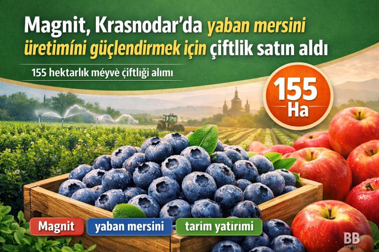 Magnit, Krasnodar'da yaban mersini üretimini güçlendirmek için çiftlik satın aldı görseli