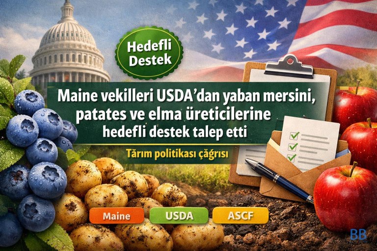 Maine vekilleri USDA'dan yaban mersini, patates ve elma üreticilerine hedefli destek talep etti görseli