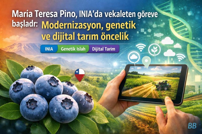 María Teresa Pino, INIA'da vekaleten göreve başladı: Modernizasyon, genetik ve dijital tarım öncelik görseli