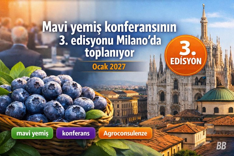 Mavi yemiş konferansının 3. edisyonu Milano'da toplanıyor görseli