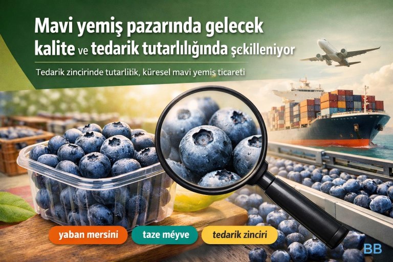 Mavi yemiş pazarında gelecek kalite ve tedarik tutarlılığında şekilleniyor görseli