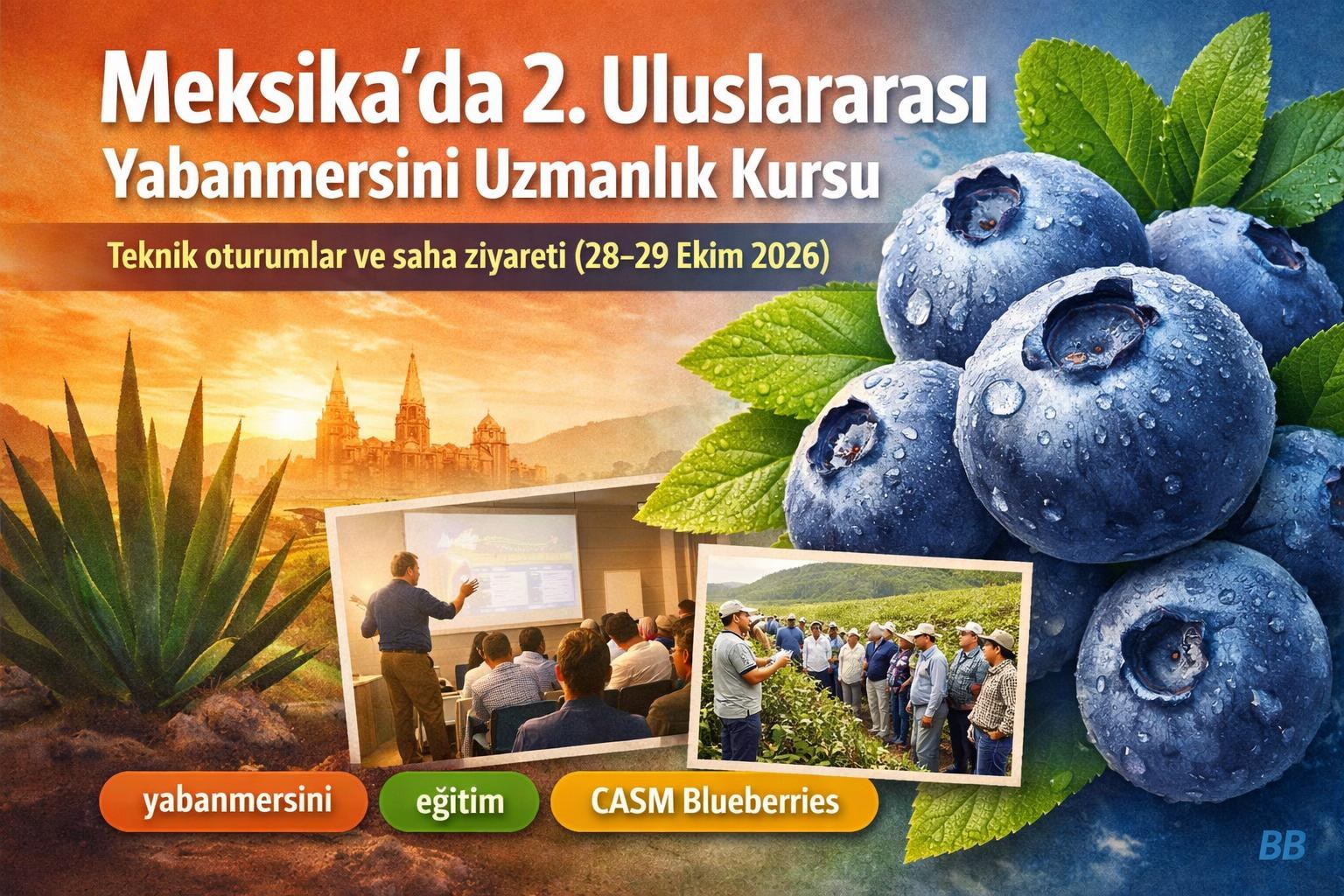 Meksika'da 2. Uluslararası Yabanmersini Uzmanlık Kursu: Teknik oturumlar ve saha ziyareti (28–29 Ekim 2026) görseli