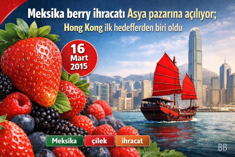 Meksika berry ihracatı Asya pazarına açılıyor; Hong Kong ilk hedeflerden biri oldu görseli