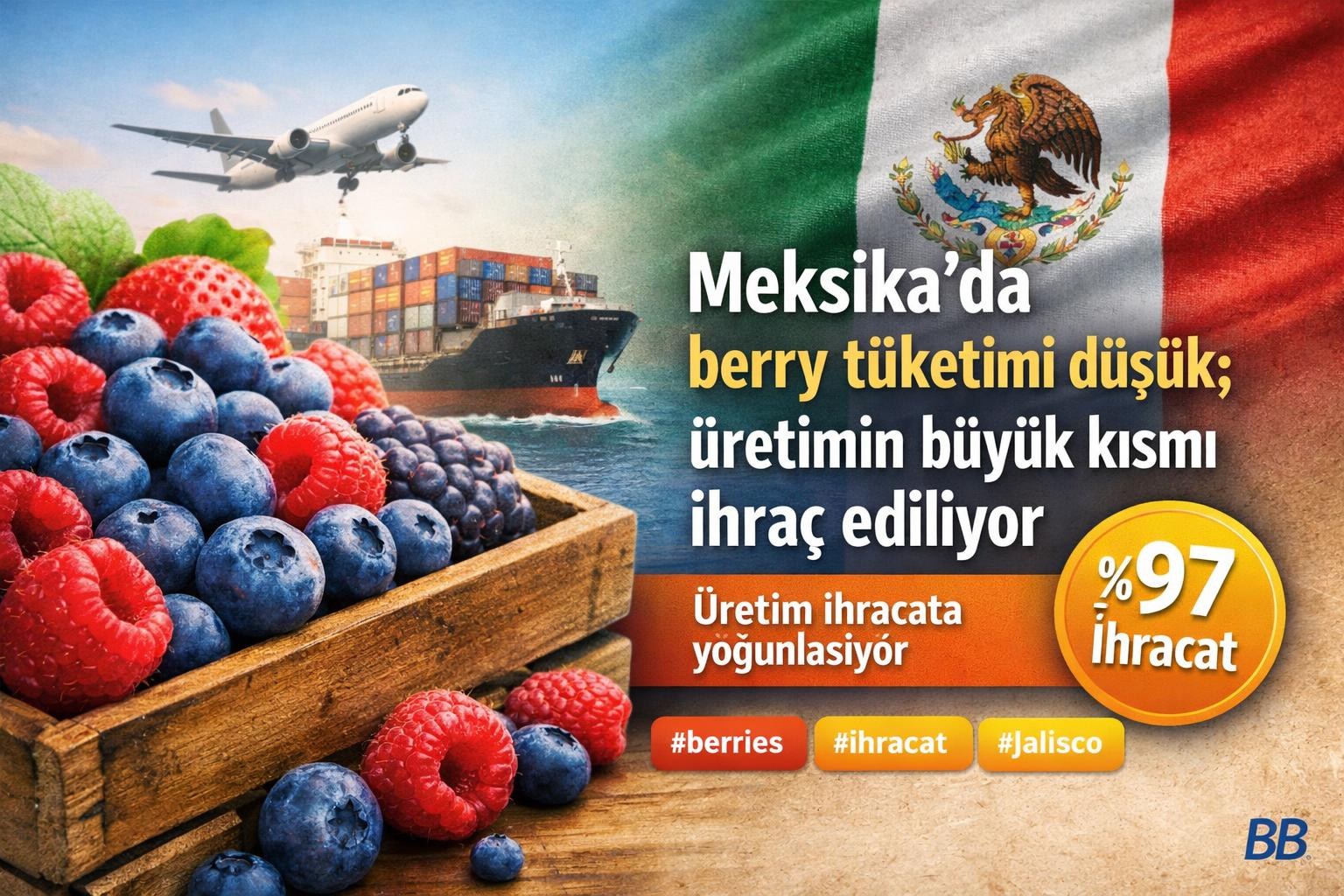 Meksika'da berry tüketimi düşük; üretimin büyük kısmı ihraç ediliyor görseli
