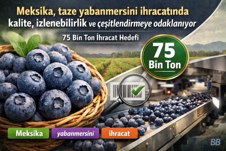 Meksika, taze yabanmersini ihracatında kalite, izlenebilirlik ve çeşitlendirmeye odaklanıyor görseli