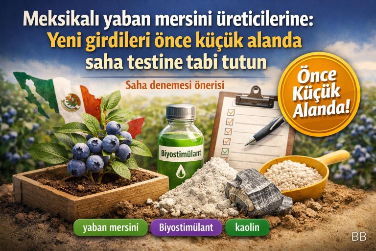 Meksikalı yaban mersini üreticilerine: Yeni girdileri önce küçük alanda saha testine tabi tutun görseli