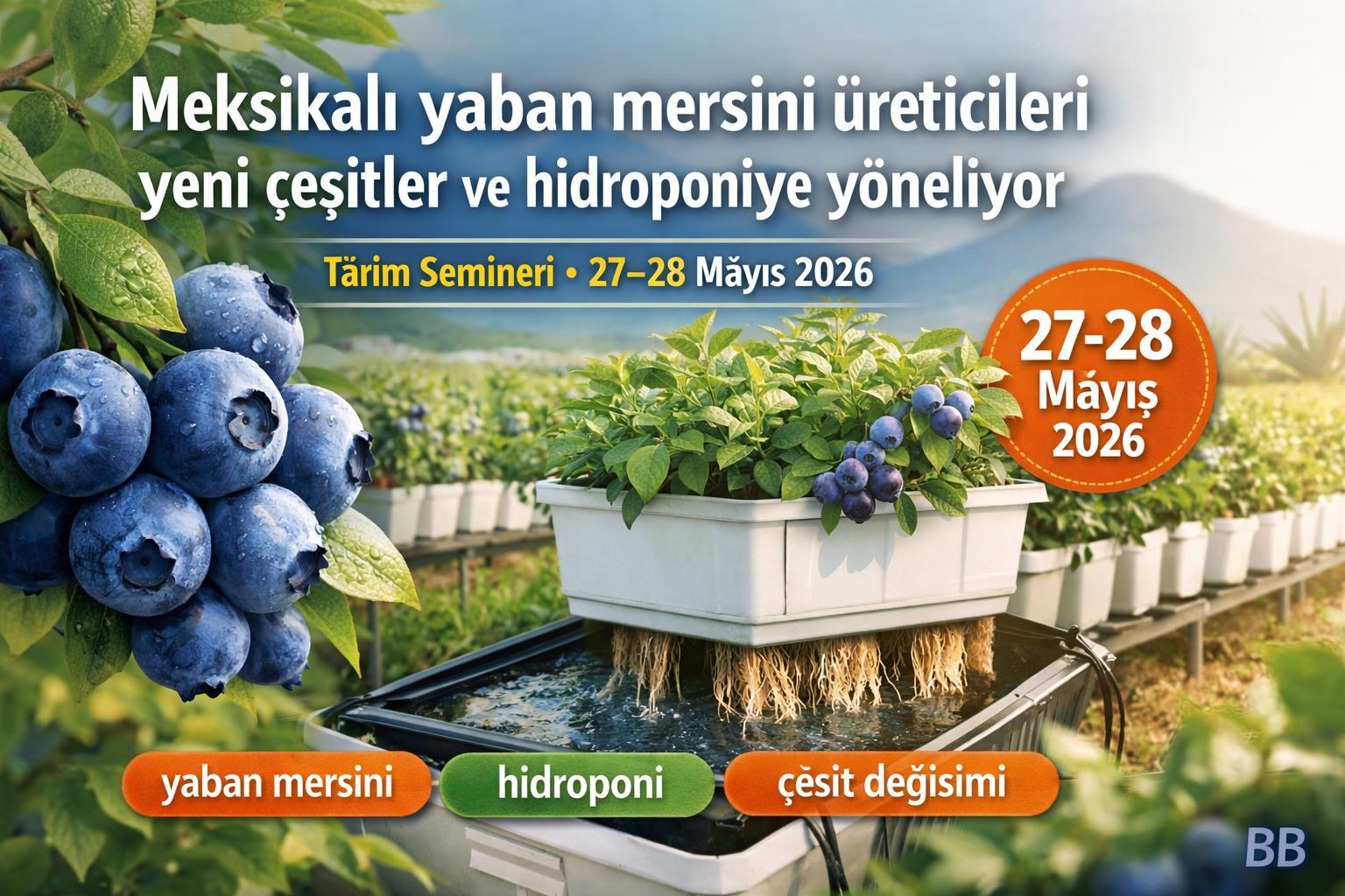 Meksikalı yaban mersini üreticileri yeni çeşitler ve hidroponiye yöneliyor gorseli