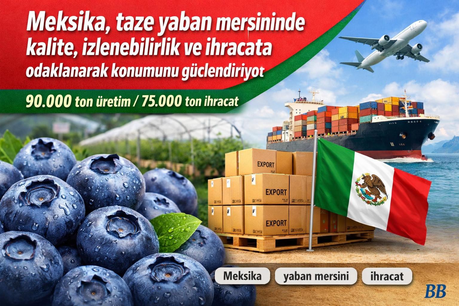 Meksika, taze yaban mersininde kalite, izlenebilirlik ve ihracata odaklanarak konumunu güçlendiriyor gorseli