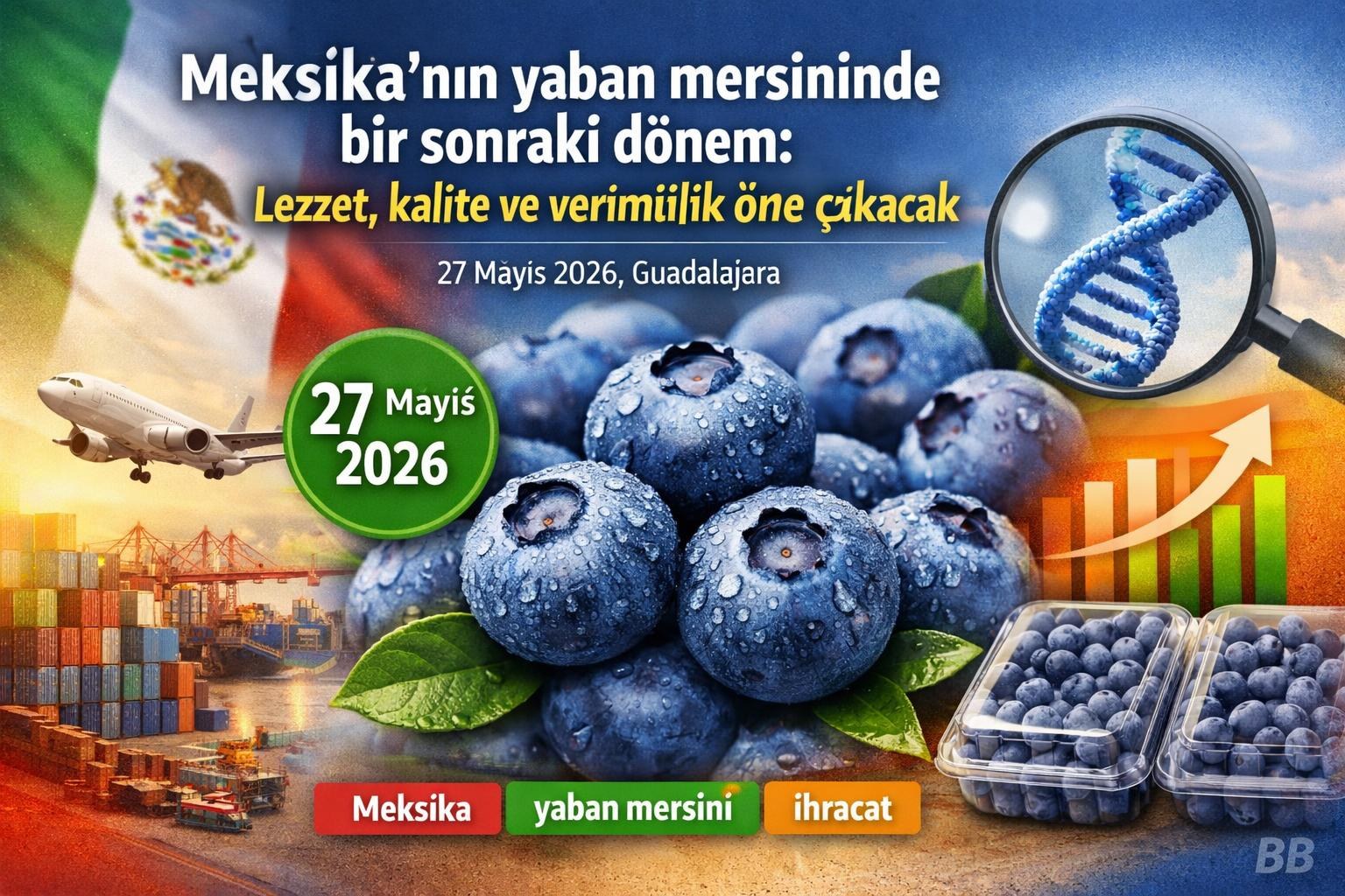 Meksika’nın yaban mersininde bir sonraki dönem: Lezzet, kalite ve verimlilik öne çıkacak gorseli