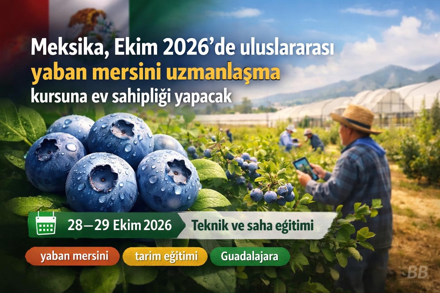 Meksika, Ekim 2026'de uluslararası yaban mersini uzmanlaşma kursuna ev sahipliği yapacak görseli
