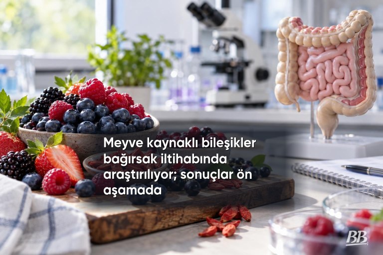 İnflamatuvar bağırsak hastalıklarında meyve müdahaleleri: Klinik kanıt henüz sınırlı görseli